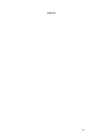 20
ANEXOS
 
