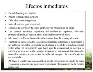 Efectos inmediatos
• Desinhibición y excitación.
• Afecta la frecuencia cardiaca.
• Dilata los vasos sanguíneos.
• Irrita el sistema gastrointestinal.
• Estimula la secreción de jugos gástricos y la producción de orina.
• Los centros nerviosos superiores del cerebro se deprimen, afectando
primero el habla, el pensamiento, el entendimiento y el juicio.
• Merma el equilibrio, la coordinación motora fina, la visión y el audio.
• También se ven afectados los centros inferiores, alterando la respiración y
los reflejos espinales (respuesta involuntaria a nivel de la médula espinal.
Entre ellas, el movimiento que hace que la extremidad se acerque al
cuerpo y se aleje del suelo, los que provocan un aumento de tensión en los
músculos exteriores para evitar la caída del cuerpo o la reacción de una
extremidad).
• Al llegar a la intoxicación alcohólica, puede provocarse un estado de coma
y alcanzar la muerte por depresión respiratoria (disminución de la función
pulmonar).
 