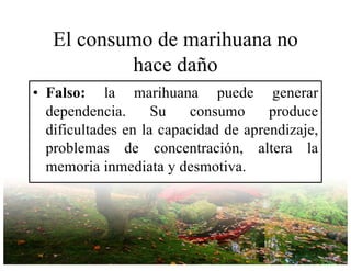 El consumo de marihuana no
hace daño
• Falso: la marihuana puede generar
dependencia. Su consumo produce
dificultades en la capacidad de aprendizaje,
problemas de concentración, altera la
memoria inmediata y desmotiva.
 