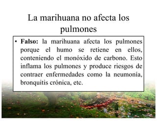 La marihuana no afecta los
pulmones
• Falso: la marihuana afecta los pulmones
porque el humo se retiene en ellos,
conteniendo el monóxido de carbono. Esto
inflama los pulmones y produce riesgos de
contraer enfermedades como la neumonía,
bronquitis crónica, etc.
 