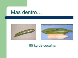 95 kg de cocaína Mas dentro… 