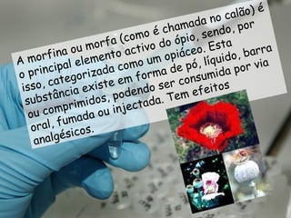 A morfina ou morfa (como é chamada no calão) é o principal elemento activo do ópio, sendo, por isso, categorizada como um opiáceo. Esta substância existe em forma de pó, líquido, barra ou comprimidos, podendo ser consumida por via oral, fumada ou injectada. Tem efeitos analgésicos. 