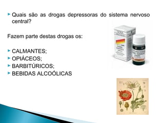  Quais são as drogas depressoras do sistema nervoso
  central?

Fazem parte destas drogas os:

 CALMANTES;
 OPIÁCEOS;
 BARBITÚRICOS;
 BEBIDAS ALCOÓLICAS
 