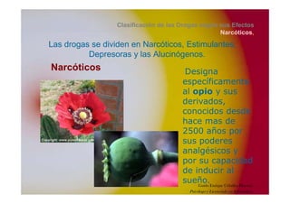 Clasificación de las Drogas según sus Efectos
NarcóticosNarcóticos,
Las drogas se dividen en Narcóticos, Estimulantes,
Depresoras y las AlucinógenosDepresoras y las Alucinógenos.
Narcóticos Designa
ífi tespecíficamente
al opio y sus
derivadosderivados,
conocidos desde
hace mas de
2500 años por
sus poderes
l é ianalgésicos y
por su capacidad
de inducir alde inducir al
sueño.Guido Enrique Ceballos Huertas
Psicólogo y Licenciado en Informática
 