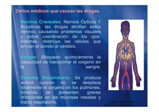 Daños médicos que causan las drogas.
Nervios Craneales, Nervios Ópticos Y
Acústicos: las drogas atrofian estos
i d bl i lnervios, causando problemas visuales
y pobre coordinación de los ojos.
Además, destruye las células que, y q
envían el sonido al cerebro.
.
S Bl í i t lSangre: Bloquean químicamente la
capacidad de transportar el oxigeno en
la sangre.g
Sistema Respiratorio: Se produce
fi i d d lasfixia cuando no se desplaza
totalmente el oxigeno en los pulmones.
Además se presentan gravesp g
irritaciones en las mucosas nasales y
tracto respiratorio. Guido Enrique Ceballos Huertas
Psicólogo y Licenciado en Informática
 