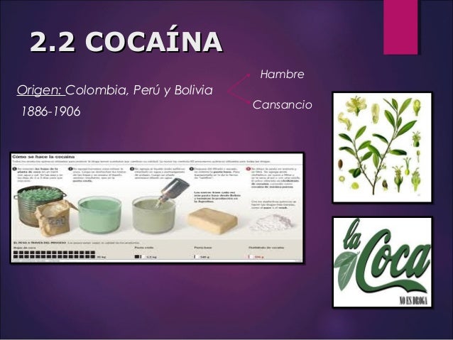 Nuez dela india para adelgazar testimonios de dios
