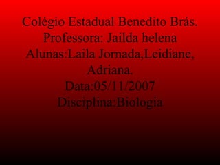 Colégio Estadual Benedito Brás. Professora: Jaílda helena Alunas:Laila Jornada,Leidiane, Adriana. Data:05/11/2007 Disciplina:Biologia 