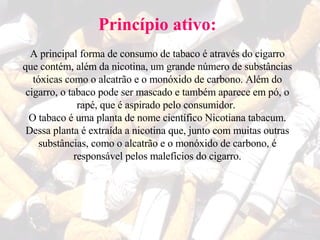 Princípio ativo: A principal forma de consumo de tabaco é através do cigarro que contém, além da nicotina, um grande número de substâncias tóxicas como o alcatrão e o monóxido de carbono. Além do cigarro, o tabaco pode ser mascado e também aparece em pó, o rapé, que é aspirado pelo consumidor.  O tabaco é uma planta de nome científico Nicotiana tabacum. Dessa planta é extraída a nicotina que, junto com muitas outras substâncias, como o alcatrão e o monóxido de carbono, é responsável pelos malefícios do cigarro. 