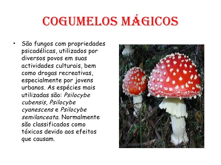 [Imagem: drogas-17-728.jpg?cb=1232370897]