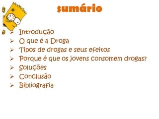 sumárioIntrodução