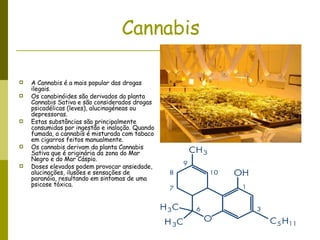 Cannabis A Cannabis é a mais popular das drogas ilegais.  Os canabinóides são derivados da planta Cannabis Sativa e são considerados drogas psicadélicas (leves), alucinogéneas ou depressoras.  Estas substâncias são principalmente consumidas por ingestão e inalação. Quando fumada, a cannabis é misturada com tabaco em cigarros feitos manualmente. Os cannabis derivam da planta Cannabis Sativa que é originária da zona do Mar Negro e do Mar Cáspio. Doses elevados podem provocar ansiedade, alucinações, ilusões e sensações de paranóia, resultando em sintomas de uma psicose tóxica.  