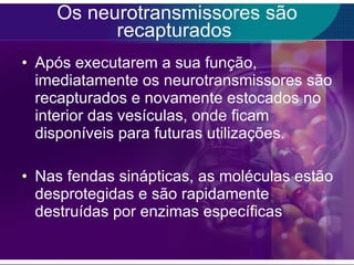 Os neurotransmissores são recapturados  Após executarem a sua função, imediatamente os neurotransmissores são recapturados e novamente estocados no interior das vesículas, onde ficam disponíveis para futuras utilizações. Nas fendas sinápticas, as moléculas estão desprotegidas e são rapidamente destruídas por enzimas específicas  