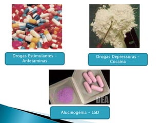 Perigo da droga…………………………………………………………………………………….6