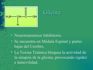 Glicina: Neurotransmisor Inhibitorio. Se encuentra en Médula Espinal y partes bajas del Cerebro. La Toxina Tetánica bloquea la actividad de la sinapsis de la glicina, provocando rigidez e inmovilidad. 