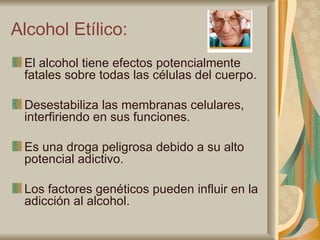 Alcohol Etílico: El alcohol tiene efectos potencialmente fatales sobre todas las células del cuerpo. Desestabiliza las membranas celulares, interfiriendo en sus funciones. Es una droga peligrosa debido a su alto potencial adictivo. Los factores genéticos pueden influir en la adicción al alcohol. 