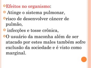 Efeitos no organismo:
 Atinge o sistema pulmonar,
risco de desenvolver câncer de
 pulmão,
 infecções e tosse crônica,
O usuário da maconha além de ser
 atacado por estes males também sofre
 exclusão da sociedade e é visto como
 marginal.
 