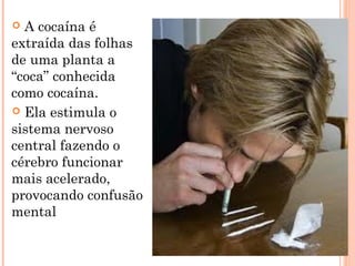  A cocaína é
extraída das folhas
de uma planta a
“coca” conhecida
como cocaína.
 Ela estimula o
sistema nervoso
central fazendo o
cérebro funcionar
mais acelerado,
provocando confusão
mental
 