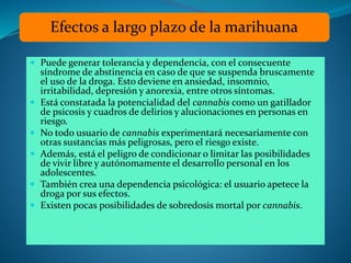 Efectos a largo plazo de la marihuana 
 Puede generar tolerancia y dependencia, con el consecuente 
síndrome de abstinencia en caso de que se suspenda bruscamente 
el uso de la droga. Esto deviene en ansiedad, insomnio, 
irritabilidad, depresión y anorexia, entre otros síntomas. 
 Está constatada la potencialidad del cannabis como un gatillador 
de psicosis y cuadros de delirios y alucionaciones en personas en 
riesgo. 
 No todo usuario de cannabis experimentará necesariamente con 
otras sustancias más peligrosas, pero el riesgo existe. 
 Además, está el peligro de condicionar o limitar las posibilidades 
de vivir libre y autónomamente el desarrollo personal en los 
adolescentes. 
 También crea una dependencia psicológica: el usuario apetece la 
droga por sus efectos. 
 Existen pocas posibilidades de sobredosis mortal por cannabis. 
 