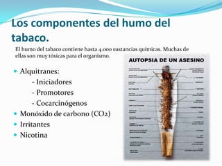 Los componentes del humo del
tabaco.
 Alquitranes:
- Iniciadores
- Promotores
- Cocarcinógenos
 Monóxido de carbono (CO2)
 Irritantes
 Nicotina
El humo del tabaco contiene hasta 4.000 sustancias químicas. Muchas de
ellas son muy tóxicas para el organismo.
 