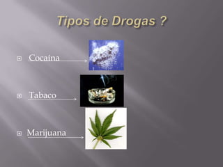 Por que é que as pessoas consomem drogas ? Por Prazer Porque querem Só para experimentarPorque os outros também o fazem.… etc… 