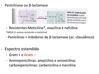 Penicilinase ou  β -lactamase Resistentes:Meticilina*, oxacilina e nafcilina *MRSA ( S. aureus  resistente a meticilina) - Penicilinas + inibidores de  β -lactamase (ac. clavulânico) Espectro estendido Gram + e  Gram –  Aminopenicilinas: ampicilina e amoxicilina; carboxipenicilinas: carbenicilina e tiarcilina 