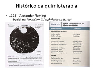 Histórico da quimioterapia 1928 – Alexander Fleming Penicilina :  Penicillium  X  Staphylococcus aureus 