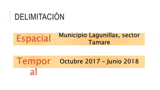 DELIMITACIÓN
Espacial Municipio Lagunillas, sector
Tamare
Tempor
al
Octubre 2017 – Junio 2018
 
