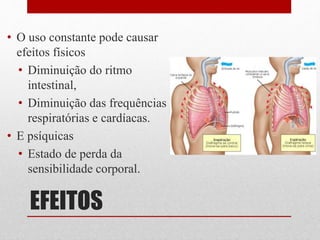 EFEITOS
• O uso constante pode causar
efeitos físicos
• Diminuição do ritmo
intestinal,
• Diminuição das frequências
respiratórias e cardíacas.
• E psíquicas
• Estado de perda da
sensibilidade corporal.
 
