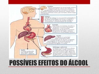 POSSÍVEIS EFEITOS DO ÁLCOOL
 