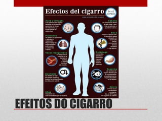 EFEITOS DO CIGARRO
 