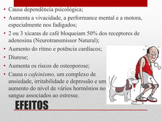 EFEITOS
• Causa dependência psicológica;
• Aumenta a vivacidade, a performance mental e a motora,
especialmente nos fadigados;
• 2 ou 3 xícaras de café bloqueiam 50% dos receptores de
adenosina (Neurotransmissor Natural);
• Aumento do ritmo e potência cardíacos;
• Diurese;
• Aumenta os riscos de osteoporose;
• Causa o cafeinismo, um complexo de
ansiedade, irritabilidade e depressão e um
aumento do nível de vários hormônios no
sangue associados ao estresse.
 