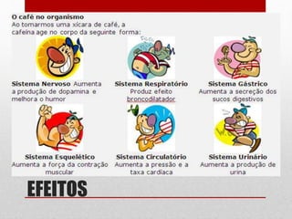 EFEITOS
 
