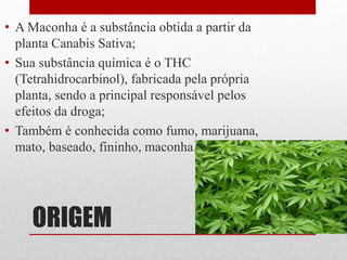 ORIGEM
• A Maconha é a substância obtida a partir da
planta Canabis Sativa;
• Sua substância química é o THC
(Tetrahidrocarbinol), fabricada pela própria
planta, sendo a principal responsável pelos
efeitos da droga;
• Também é conhecida como fumo, marijuana,
mato, baseado, fininho, maconha.
 