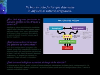 No hay un solo factor que determine
8
                                           si alguien se volverá drogadicto.

    ¿Por qué algunas personas se
                                                                                                                       FACTORES DE RIESGO
    vuelven adictas a las drogas y
    otras no?
    Al igual que con cualquier otra enfermedad, la vulnerabilidad a
                                                                                                      Biología/genes                             Medio ambiente
    la adicción difiere de una persona a otra. En general, mientras
    más factores de riesgo se tienen, mayor es la probabilidad de             ❚	   Genética                                                                             ❚	 Hogar caótico y maltrato
    que el consumo de drogas se convierta en abuso y adicción.                ❚	
                                                                              ❚	
                                                                                   Sexo
                                                                                   Trastornos mentales
                                                                                                                                                                        ❚	 Uso y actitudes de
                                                                                                                                                                        	 los padres
    En cambio, los factores de “protección” reducen el riesgo de                                                                                  ❚	   Uso temprano
                                                                                                                                                                        ❚	Influencias de los amigos

    desarrollar una adicción.
                                                                                                 ❚	
                                                                                                 ❚	
                                                                                                      Vía de administración
                                                                                                      Efecto de la droga en sí    DROGA           ❚	
                                                                                                                                                  ❚	
                                                                                                                                                       Disponibilidad
                                                                                                                                                       Costo
                                                                                                                                                                           y compañeros
                                                                                                                                                                        ❚	 Actitudes comunitarias
                                                                                                                                                                        ❚	Rendimiento académico
                                                                                                                                                                           deficiente


    ¿Qué factores determinan que                                                                                             Mecanismos del cerebro
    una persona se vuelva adicta?
    No hay un solo factor que determine que alguien se vuelva                                                                       Adicción
    drogadicto. El riesgo total de volverse drogadicto es afectado por la
    constitución biológica de la persona, pudiendo verse influenciado
    por el sexo o la etnia de la persona o por la etapa de desarrollo en
    que se encuentra y por su entorno social (por ejemplo, las
    condiciones en el hogar, en la escuela y en el vecindario).


    ¿Qué factores biológicos aumentan el riesgo de la adicción?
    Los científicos creen que los factores genéticos, incluyendo los cambios causados por el medio ambiente en su expresión y función, constituyen entre el 40 y el 60
    por ciento de la vulnerabilidad a la adicción. Los adolescentes y las personas con trastornos mentales tienen mayor riesgo para el abuso de drogas y la adicción en
    comparación con la población en general.
 