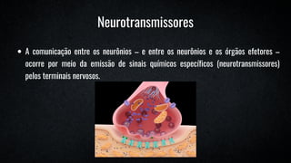 Neurotransmissores
A comunicação entre os neurônios – e entre os neurônios e os órgãos efetores –
ocorre por meio da emissão de sinais químicos específicos (neurotransmissores)
pelos terminais nervosos.
 