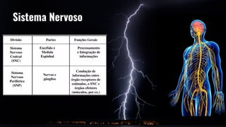 Sistema Nervoso
 
