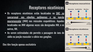 Os receptores nicotínicos estão localizados no SNC, na
suprarrenal, nos gânglios autônomos e na junção
neuromuscular (JNM) nos músculos esqueléticos. Aqueles
localizados na JNM algumas vezes são designados NM, e os
outros, NN.
Ao serem estimulados ele permite a passagem de ions de
sódio na junção muscular e cálcio nos ganglios.
Eles têm função apenas excitatória
Receptores nicotínicos
 