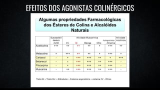 EFEITOS DOS AGONISTAS COLINÉRGICOS
 