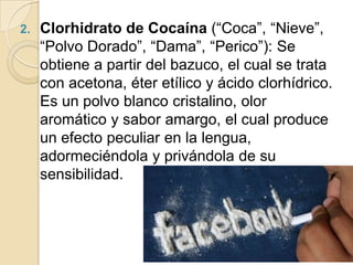 Clorhidrato de Cocaína (“Coca”, “Nieve”, “Polvo Dorado”, “Dama”, “Perico”): Se obtiene a partir del bazuco, el cual se trata con acetona, éter etílico y ácido clorhídrico. Es un polvo blanco cristalino, olor aromático y sabor amargo, el cual produce un efecto peculiar en la lengua, adormeciéndola y privándola de su sensibilidad. 
