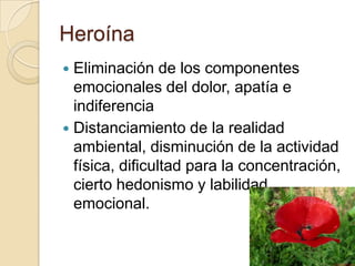 HeroínaEliminación de los componentes emocionales del dolor, apatía e indiferencia Distanciamiento de la realidad ambiental, disminución de la actividad física, dificultad para la concentración, cierto hedonismo y labilidad emocional.