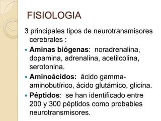 FISIOLOGIA3 principales tipos de neurotransmisores cerebrales :Aminas biógenas:  noradrenalina, dopamina, adrenalina, acetilcolina, serotonina. Aminoácidos:  ácido gamma-aminobutírico, ácido glutámico, glicina. Péptidos:se han identificado entre 200 y 300 péptidos como probables neurotransmisores. 