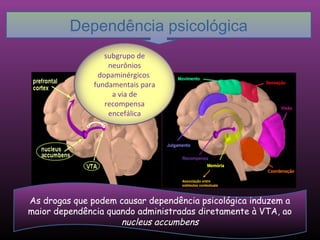 Dependência psicológica
                 subgrupo de
                  neurônios
               dopaminérgicos
              fundamentais para
                   a via de
                 recompensa
                  encefálica




As drogas que podem causar dependência psicológica induzem a
maior dependência quando administradas diretamente à VTA, ao
                     nucleus accumbens
 