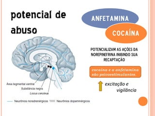 potencial de   anfetamina
abuso                      Cocaína

               potencializam as ações da
               norepinefrina inibindo sua
                      recaptação

               cocaína e a anfetamina
               são psicoestimulantes.

                      excitação e
                            vigilância
 
