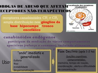 DROGAS DE ABUSO QUE AFETAM
RECEPTORES NÃO-TERAPÊUTICOS
  receptores canabinóides CB1 e CB2
   ampla distribuição nos gânglios da
       base, hipocampo e tronco
               encefálico

  canabinóides endógenos
     participam da mediação de vários comportamentos
    apetitivos (reforço e consumo), incluindo alimentos,
                       cigarros e álcool
           “onda” imediata e         Fase Declínio (após 1-2 hs)
             generalizada                 funções cognitivas
                                              comprometidas:
 Uso:   Euforia
        Riso                          memória, tempo de reação,
        instabilidade                 coordenação , alerta e dificuldade
        despersonalização             de concentração
 