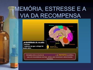 MEMÓRIA, ESTRESSE E A
VIA DA RECOMPENSA
 