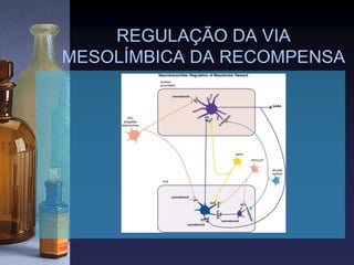 REGULAÇÃO DA VIA
MESOLÍMBICA DA RECOMPENSA
 