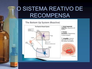 O SISTEMA REATIVO DE
RECOMPENSA
 