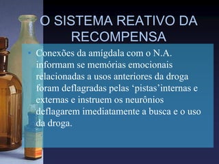 O SISTEMA REATIVO DA
RECOMPENSA
• Conexões da amígdala com o N.A.
informam se memórias emocionais
relacionadas a usos anteriores da droga
foram deflagradas pelas ‘pistas’internas e
externas e instruem os neurônios
deflagarem imediatamente a busca e o uso
da droga.
 