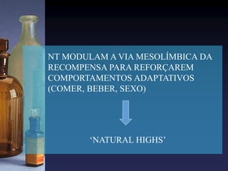 NT MODULAM A VIA MESOLÍMBICA DA
RECOMPENSA PARA REFORÇAREM
COMPORTAMENTOS ADAPTATIVOS
(COMER, BEBER, SEXO)
‘NATURAL HIGHS’
 