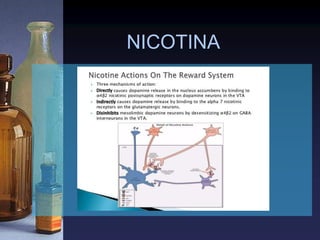 NICOTINA
 